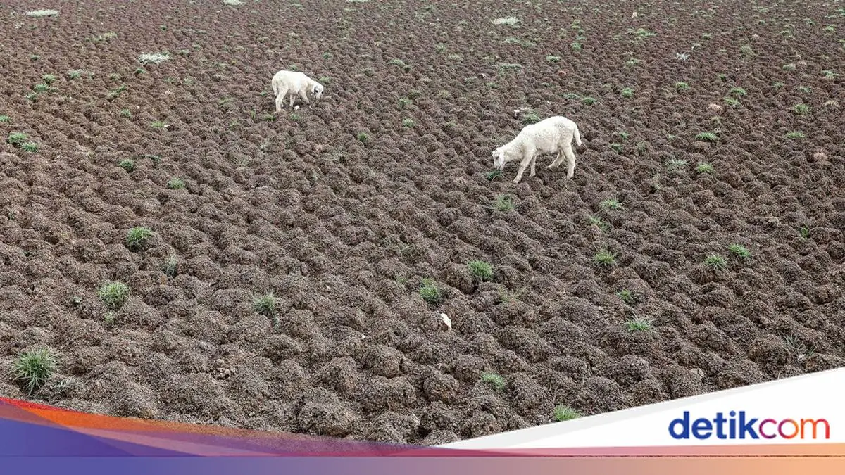 75 Persen Wilayah Indonesia Masih Kemarau, Warga Bekasi Andalkan Sumur Pompa