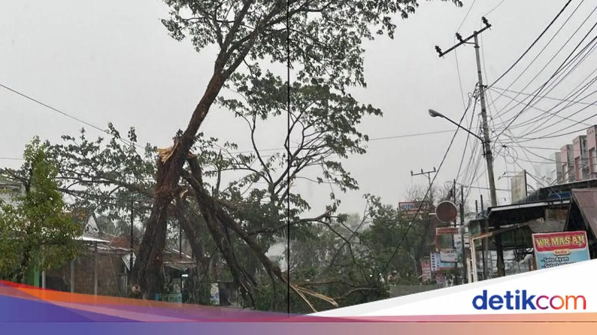 Hujan Guyur Banjarbaru Kalsel Usai Kemarau Panjang hingga Pohon Tumbang