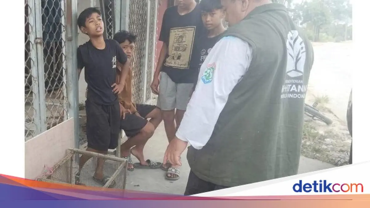 Salut! 4 Bocah Samarinda Selamatkan Bekantan yang Nyasar ke Permukiman