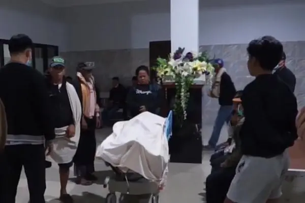 Tragis! Petugas Manggala Agni Toraja Utara Tewas Tertimpa Pohon saat Padamkan Karhutla
