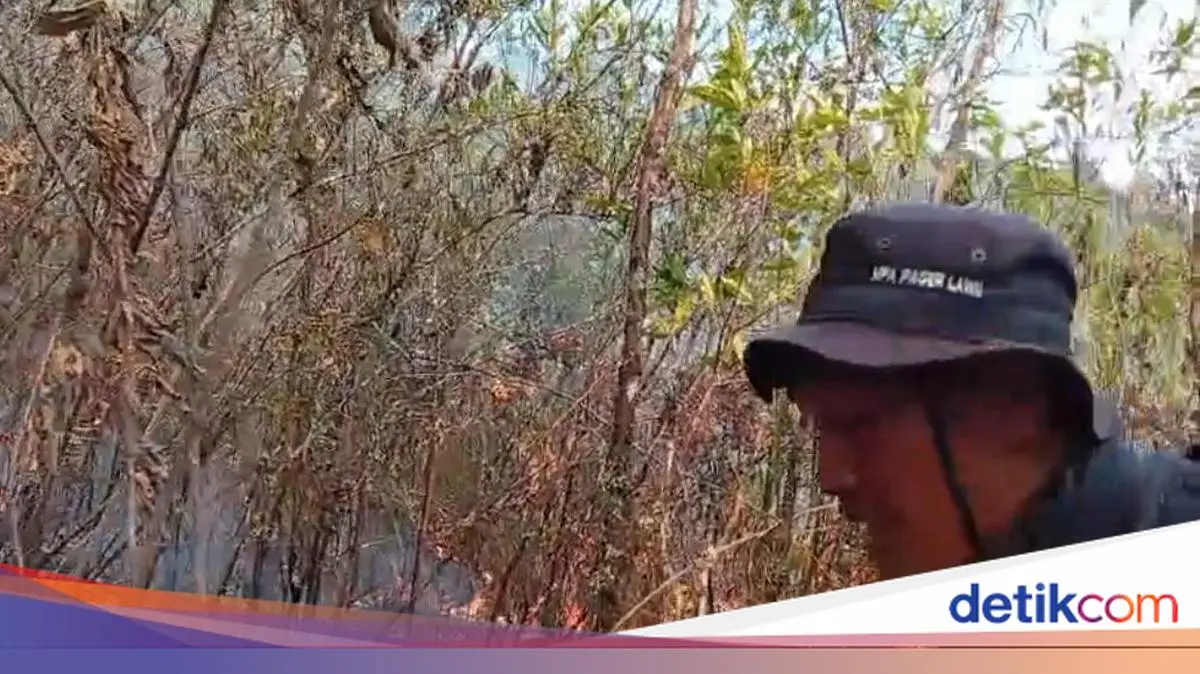 Kebakaran Lerang Gunung Lawu Meluas, Capai 490 Hektare