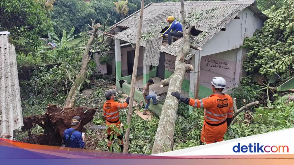 Tertimpa Pohon Tumbang, Rumah Warga di Bogor Rusak