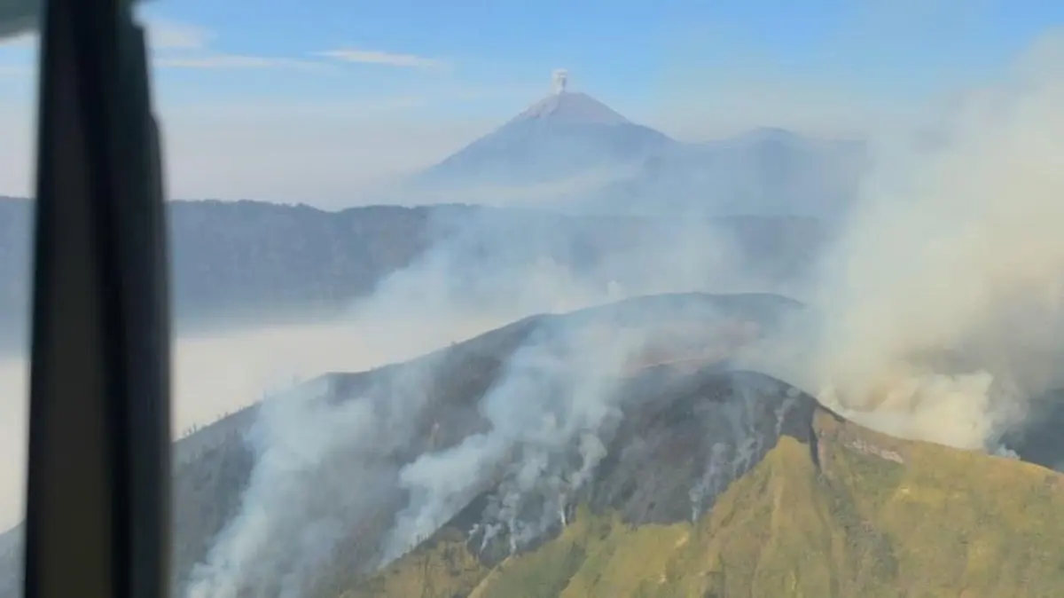 Tiga Petugas Tewas Saat Padamkan Karhutla di Bromo