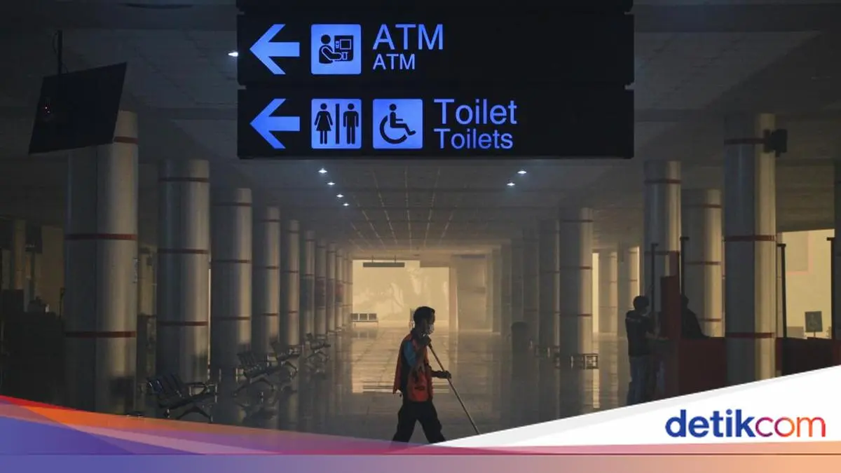 Anggota DPR Dorong Diplomasi RI Diperkuat untuk Tangani Karhutla