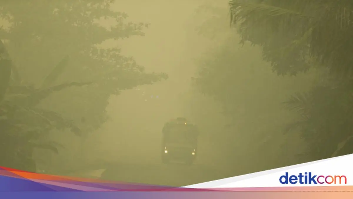 Kabut Asap Makin Pekat, Aktivitas Warga Kuala Kapuas Terganggu