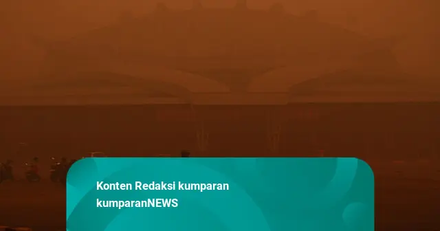 Anggota Komisi IV Usul Kamp Bebas Asap Karhutla, Soroti Sikap Kepala Daerah
