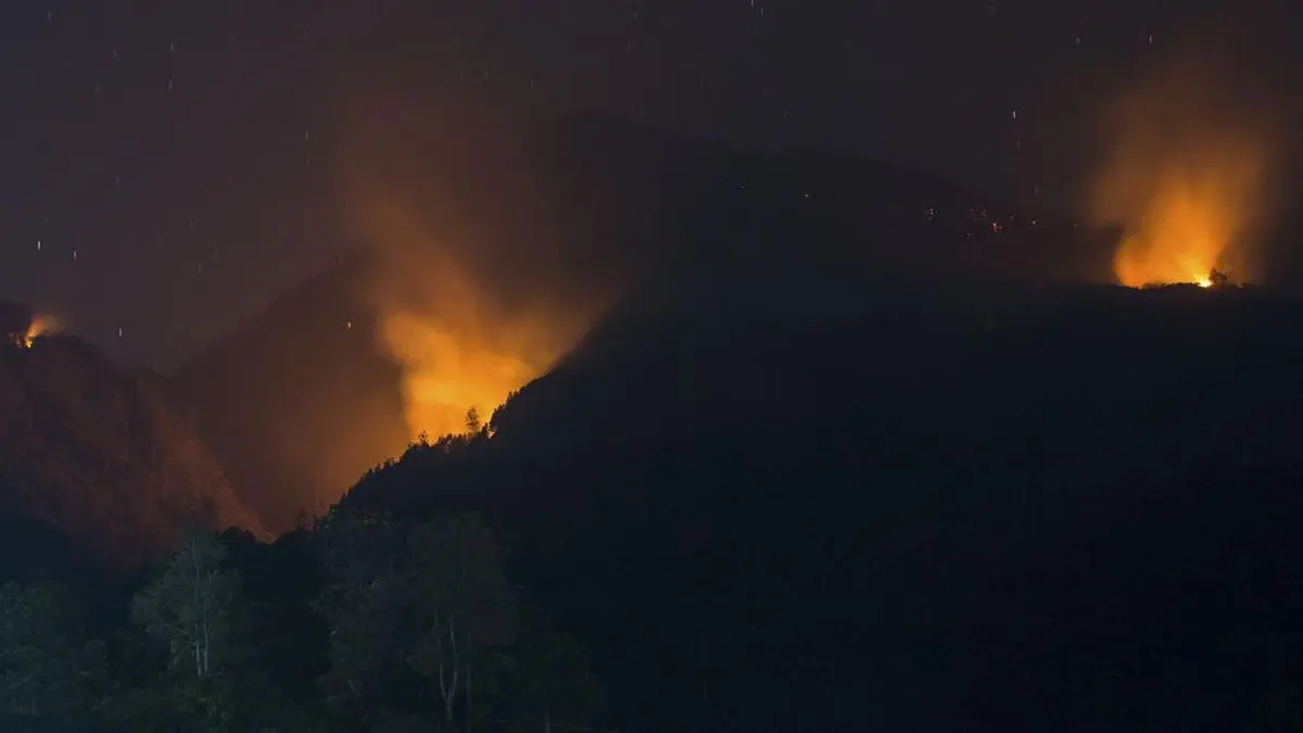 Hutan Lereng Gunung Lawu Kebakaran, Pemadaman Sulit Dilakukan