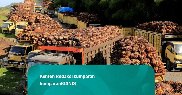 Harga Komoditas: CPO sampai Timah Kompak Menguat