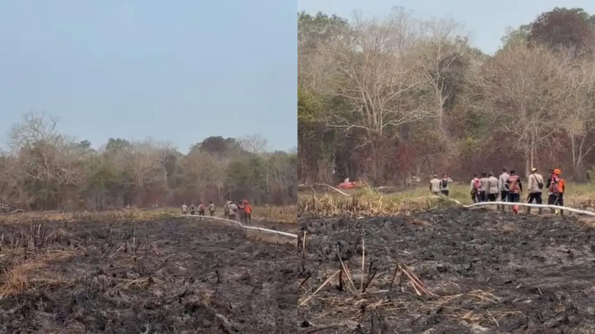 Titik Api Way Kambas Padam, Lokasi 14 Km dari Pusat Latihan Gajah