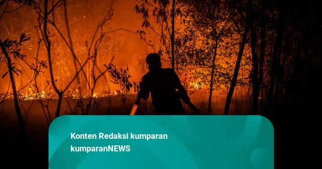 Prabowo: Karhutla Tidak Semata-mata Alamiah, Ada Campur Tangan Manusia