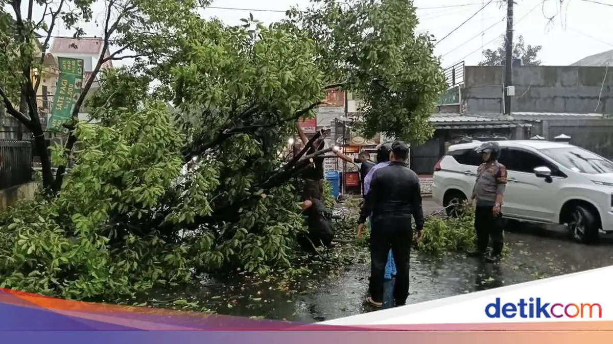 Hujan Deras, Pohon Tumbang Sempat Bikin Lalin di Jl Radar Auri Depok Macet