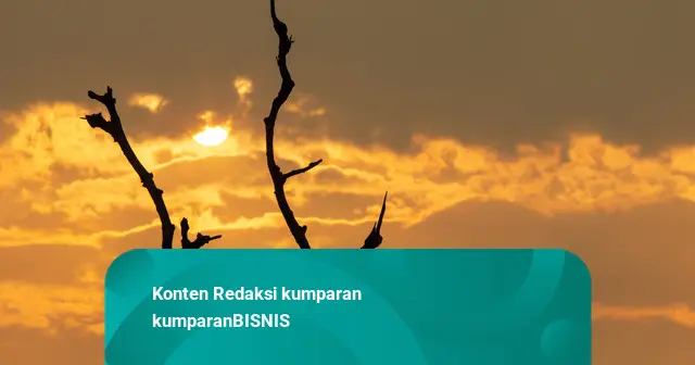 Ekonom Ingatkan Bank Petakan Risiko Kredit Bermasalah Imbas Dampak El Nino
