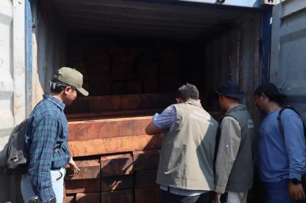 TNI AL Amankan 23 Kontainer Kayu Merbau Ilegal dari Papua Senilai Rp5,5 Miliar
