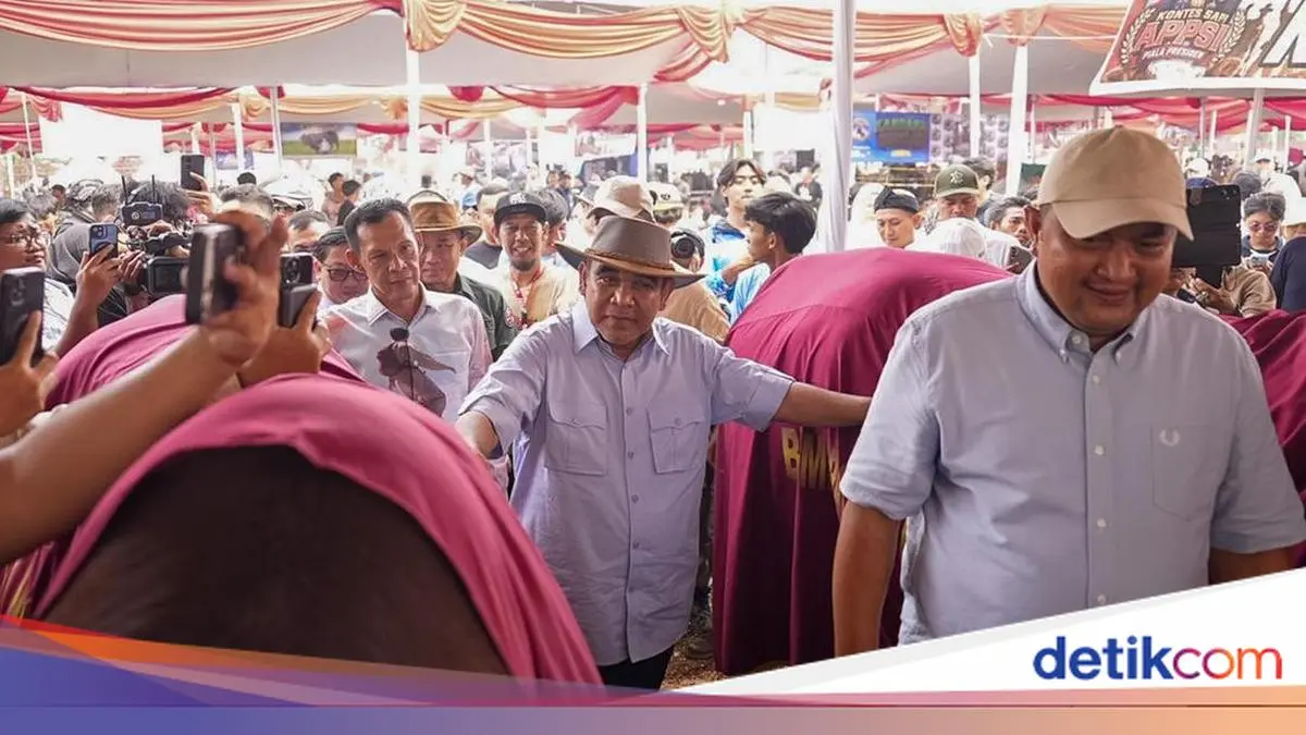 Hadiri Kontes Sapi APPSI, Muzani: Ini Upaya Dukung Swasembada Pangan