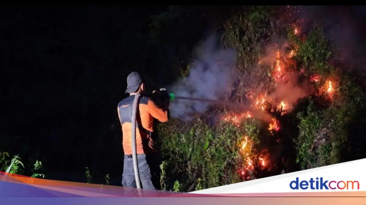 Karhutla Kembali Muncul di Kalteng, Petugas Berjibaku Padamkan Api