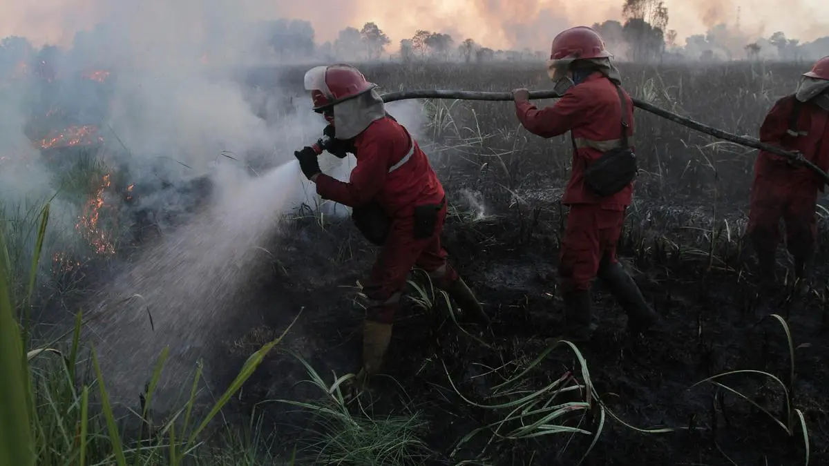 DPR: Jika Perusahaan Asing Terlibat Karhutla, Cabut Izinnya Lalu Pidanakan