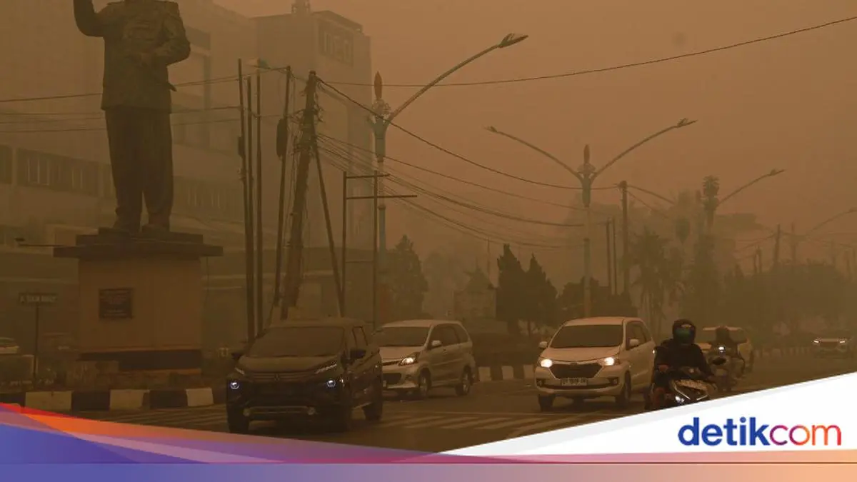 Kabut Asap Karhutla Selimuti Palangka Raya, Jarak Pandang Terbatas