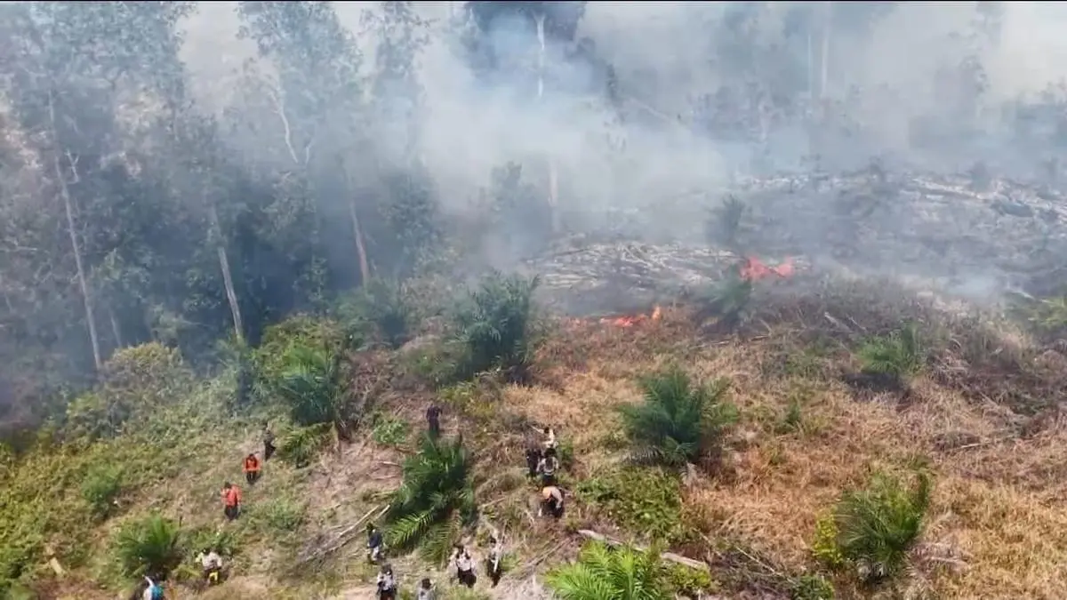 223 Orang dan 9 Korporasi Jadi Tersangka Kebakaran Hutan