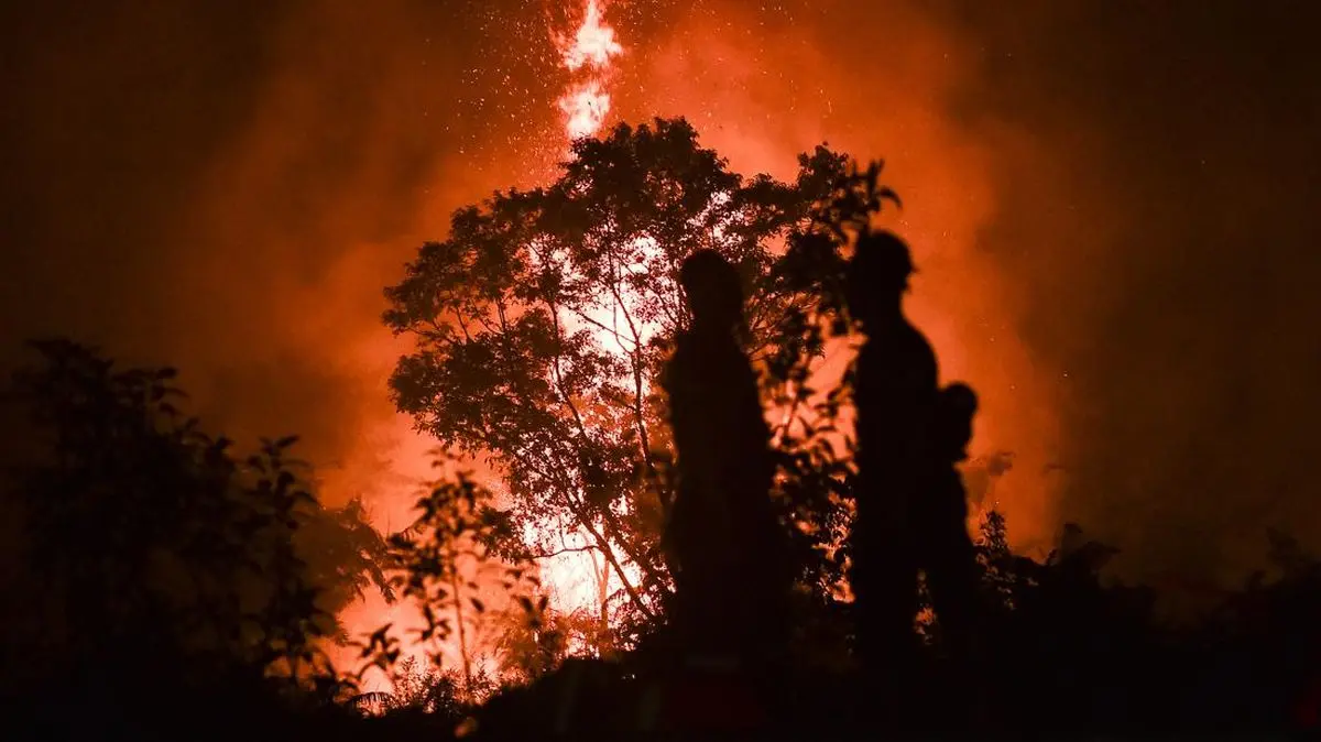 Karhutla di Taman Nasional Berbak Sembilang Jambi Meluas
