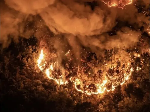 Gunung Ciremai Kebakaran, Jalur Pendakian Ditutup?