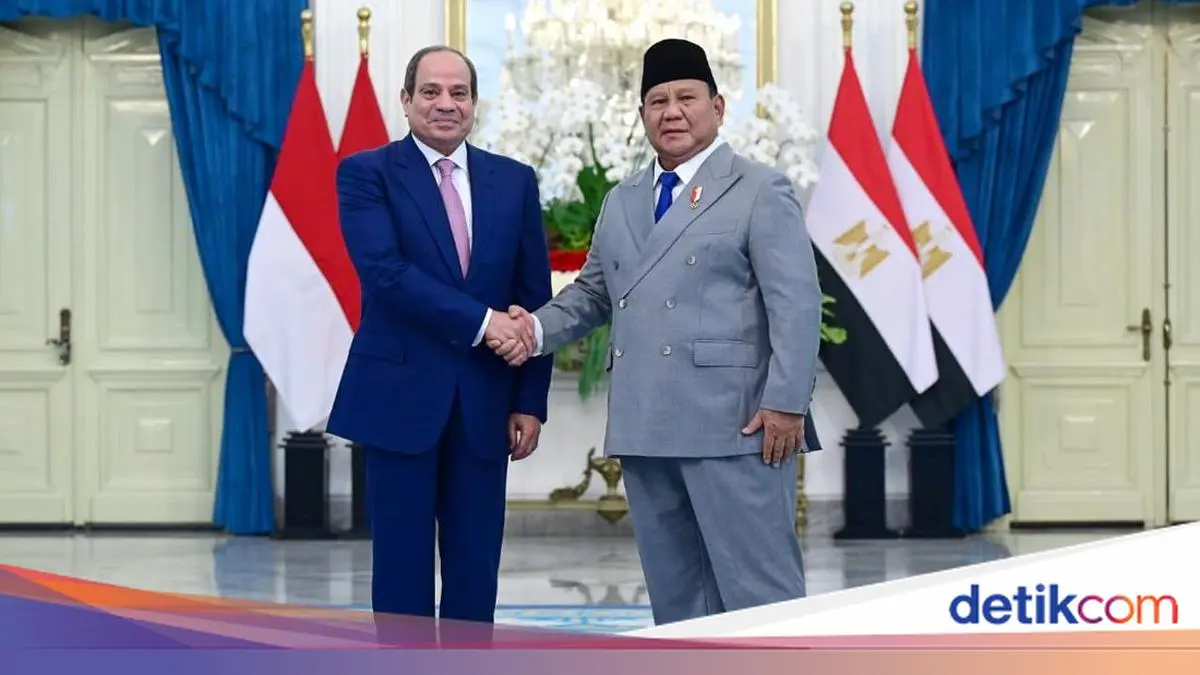 Mesir Tawarkan Tambahan Beasiswa Kedokteran-Teknik, Prabowo Sambut Baik