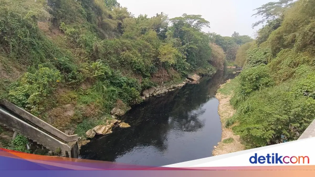 Duh! Sungai Cileungsi di Bogor Hitam Bak Oli dan Berbau Menyengat