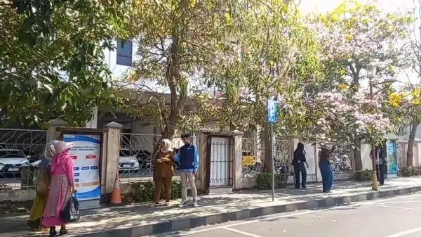 Viral, Bunga Tabebuya Warna-warni di Majalengka Curi Perhatian Warga