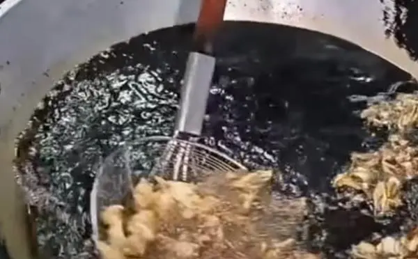 Kenapa Makan Kol Goreng Tidak Baik bagi Kesehatan? Ini Kandungan di Dalamnya