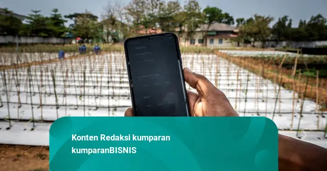 Foto: Petani di Semarang Gunakan Teknologi untuk Rawat Tanaman