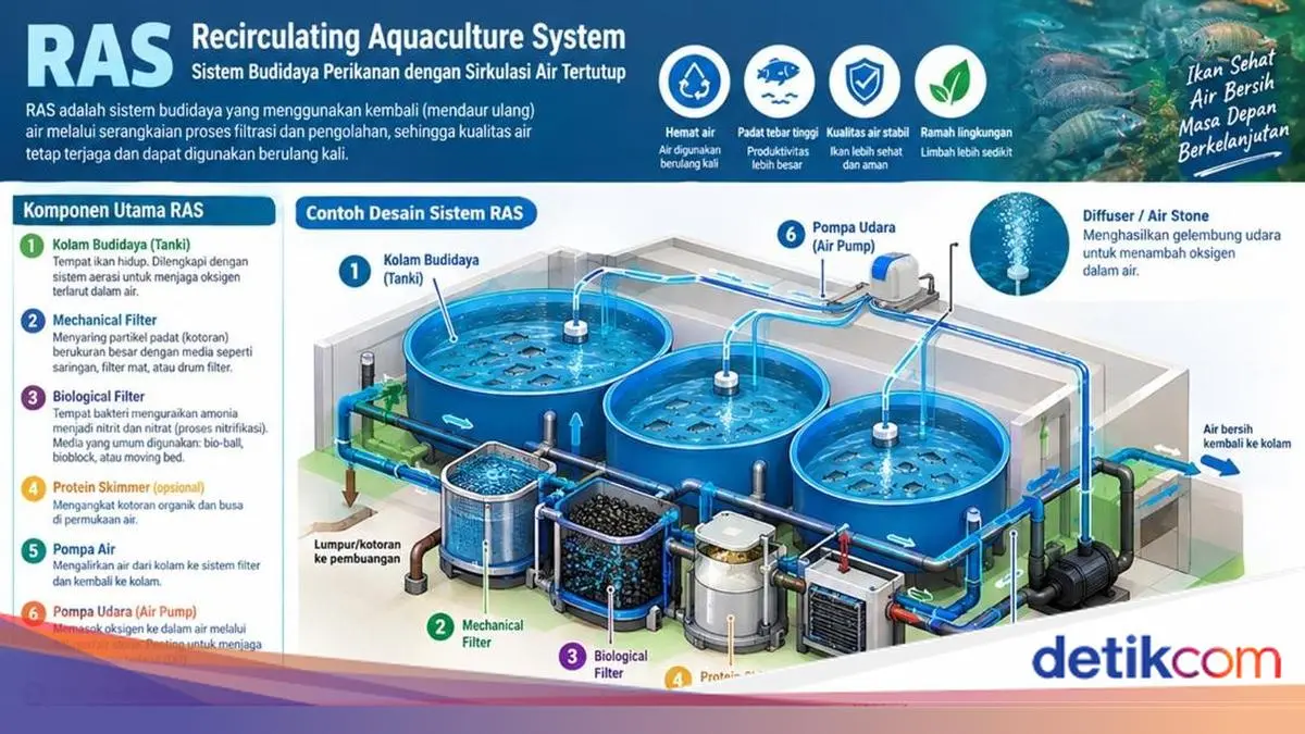 Mengenal Bioflok & RAS, Teknologi untuk Optimalkan Budidaya Ikan Modern