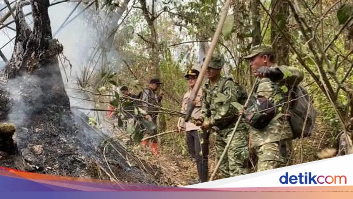 Karhutla di Gunung Arjun-Welirang Padam, Polisi Selidik Penyebab Kebakaran
