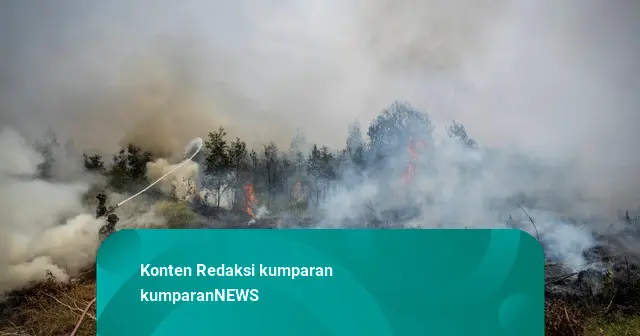 1.300 Warga Kalsel Terdampak ISPA Imbas Karhutla, Dinkes Sebar 400 Ribu Masker