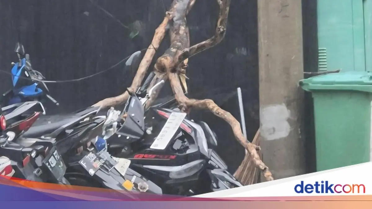 Pohon 8 Meter Tumbang Timpa Mobil dan Motor di Kota Bogor